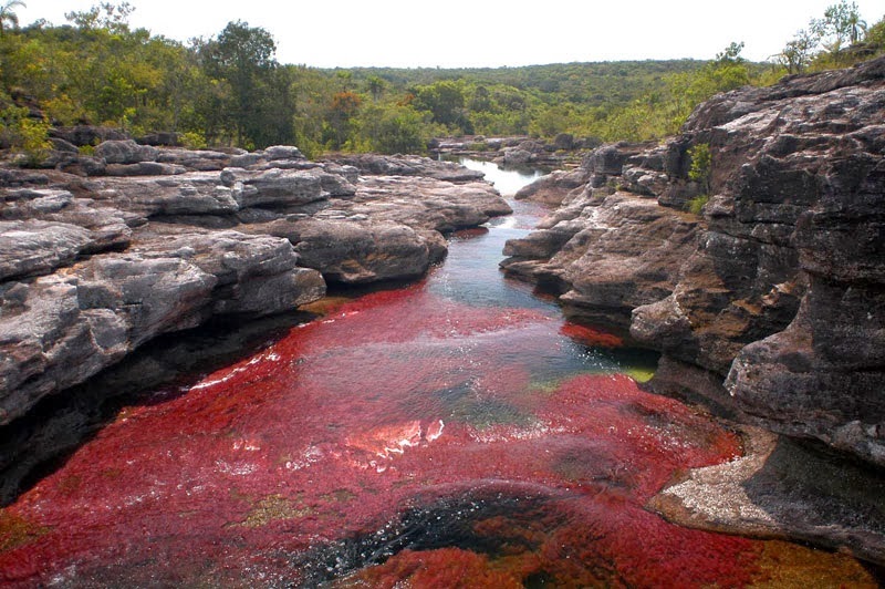 It was reopened to visitors in 2009, and today there are several Colombian tourist agencies that will take visitors of a guided tour of the area.