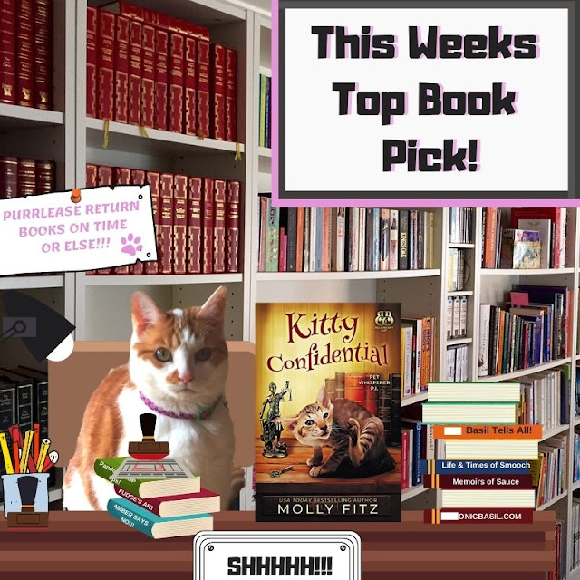 Amber's Book Reviews #233 What Are We Reading This Week ©BionicBasil® Kitty Confidential by Molly Fitz