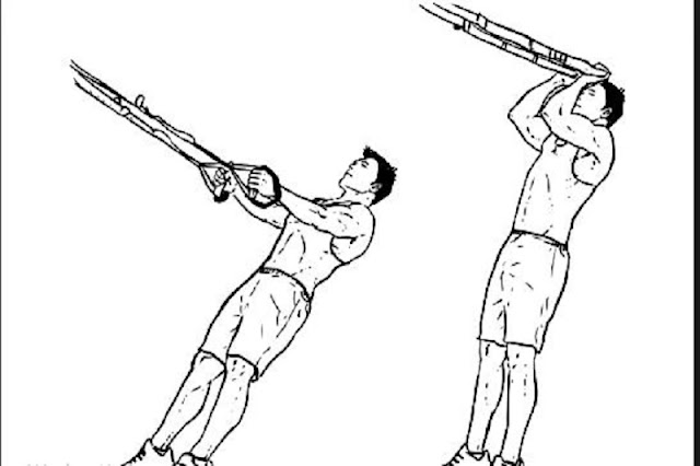 Suspension Trainer Biceps Curl Exercise