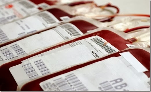 sacche-sangue-cane sacche-sangue-cane