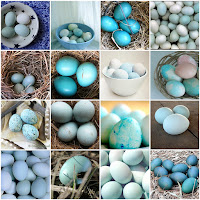 Bird Egg Candy