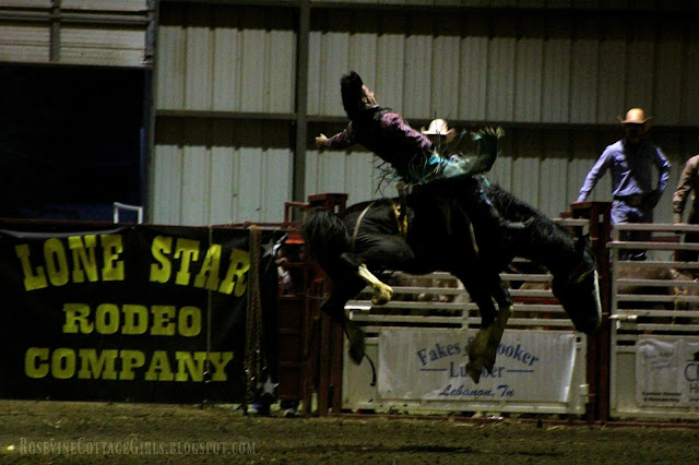 #rodeo #broncriding #cowboys #cows #horses