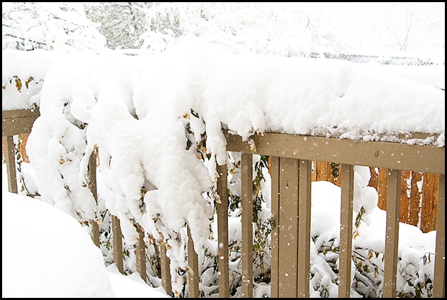 Snow