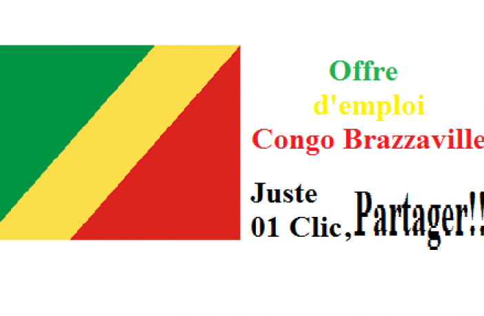 Offre d'emploi a Brazzaville (Plusieurs postes) - Congo 