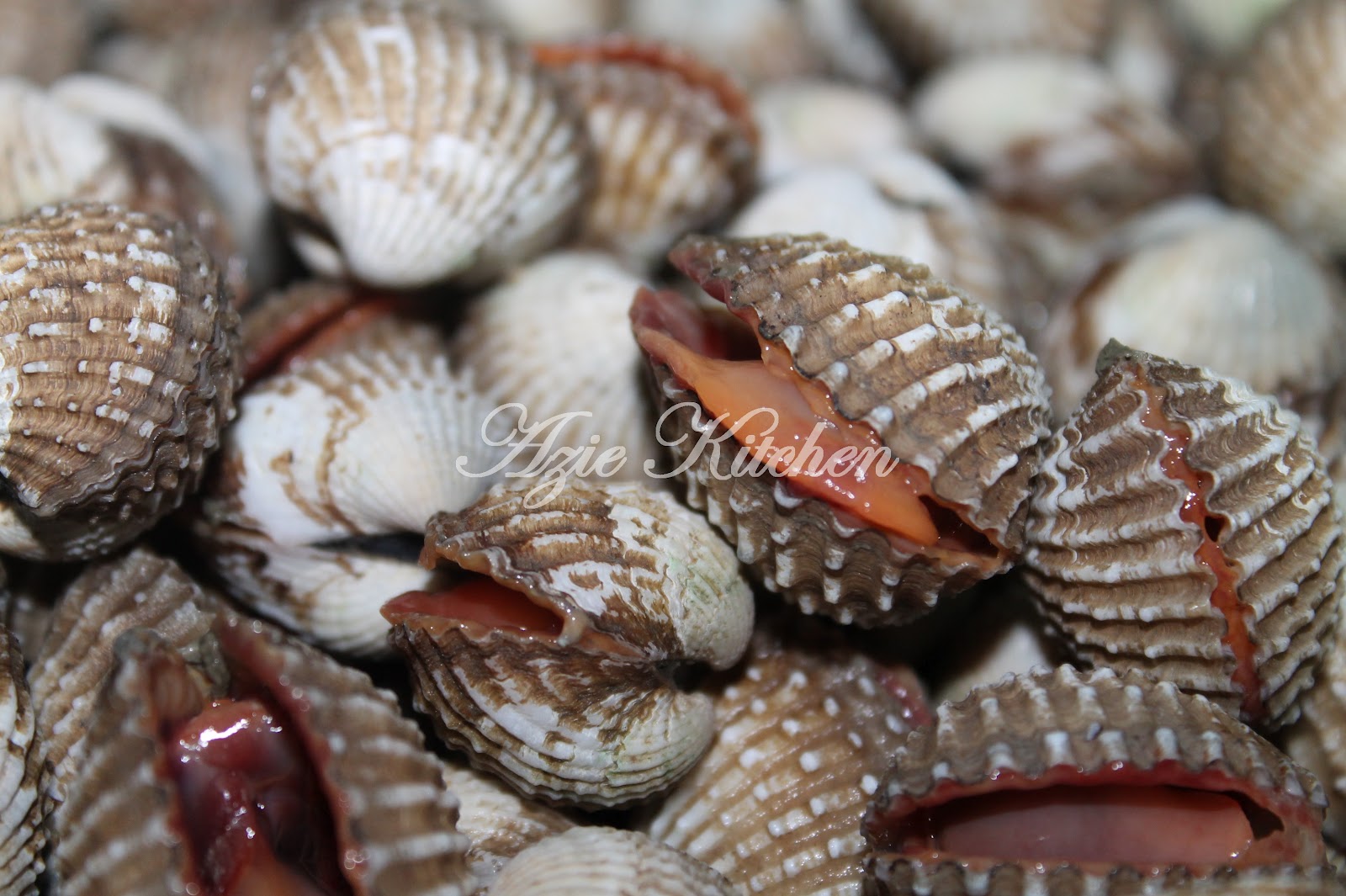 Kerang Rebus Untuk Aween - Azie Kitchen