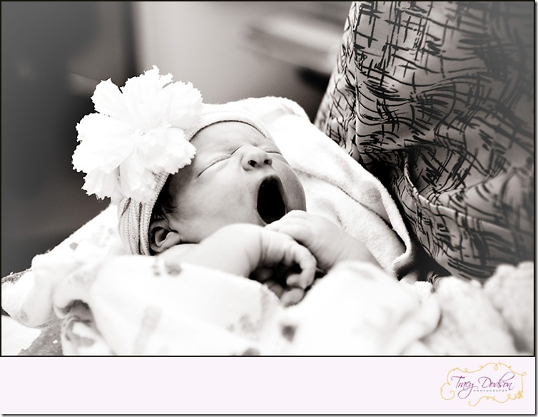 Noelle Nunez Birth   862VANILLA