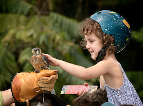 NYC Raptor Fest 2022