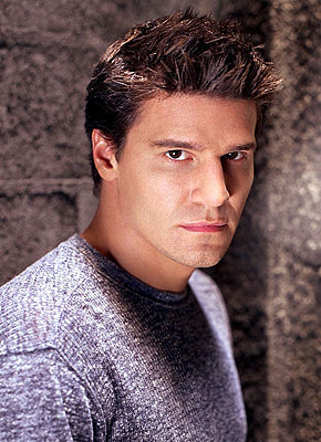 david boreanaz angel