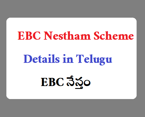 YSR EBC Nestham - ఈబీసీ నేస్తం - అగ్రకులాల్లో ఆర్థికంగా వెనుకబడ్డ (ఈబీసీ) మహిళలకు  ఏడాదికి రూ. 15 వేలు 