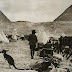 1914-1916, καγκουρό στην Αίγυπτο!!!