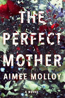 https://www.goodreads.com/book/show/35887193-the-perfect-mother?from_search=true