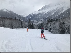 Chalet les Aiguilles (38)