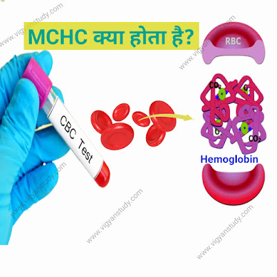 What is MCHC in blood test in hindi