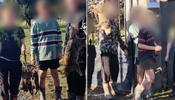 Animal advocates say schoolkids swung around dead cats they'd shot in front of them saying "meat, meat, meat"