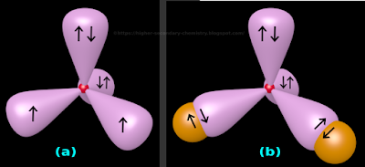 H2O molecule has a 'v' shape or angular structure due to the pushing by two lone pairs of electrons.