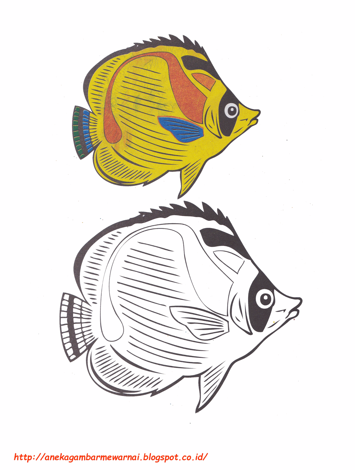  Gambar  Mewarnai Ikan  Kupu Kupu Untuk Anak PAUD dan TK
