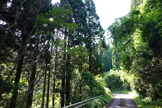 鳥取県西伯郡南部町東上 鎌倉山グリーンライン