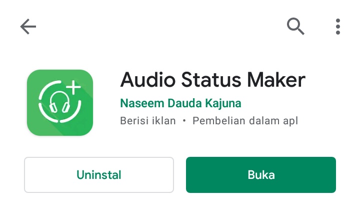 Audio status masker