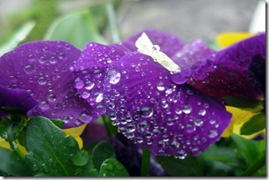DSCN2644