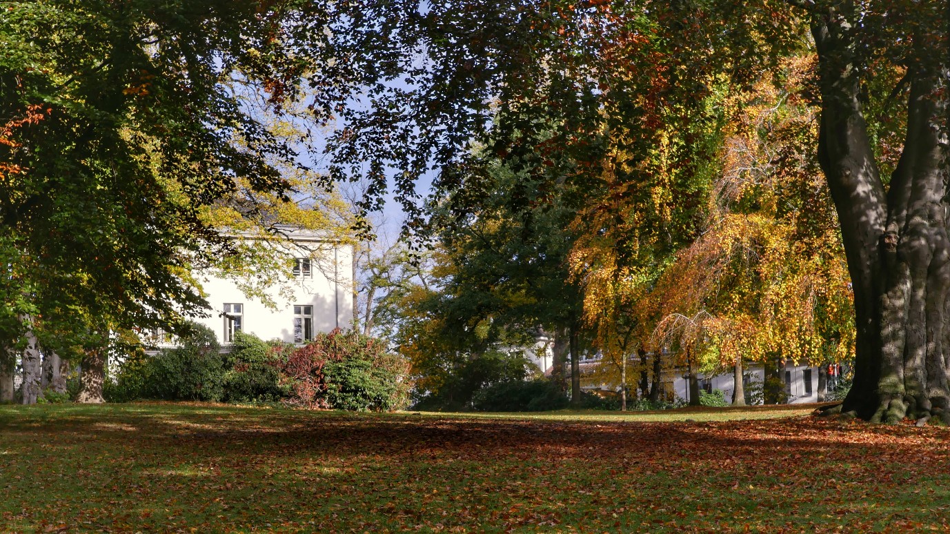 Herbstlicher Park, parklandschaft im Herbst