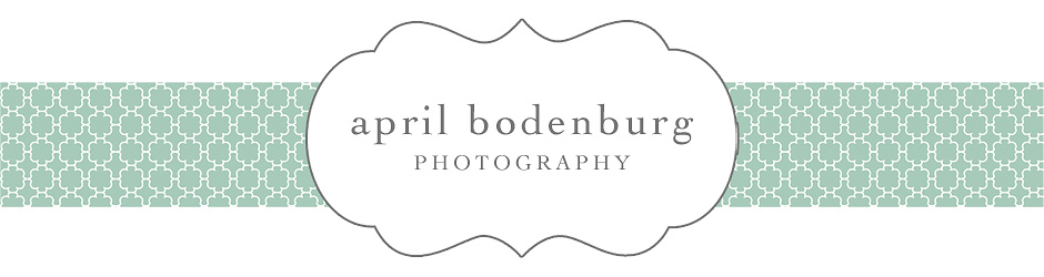 april bodenburg photography | blog