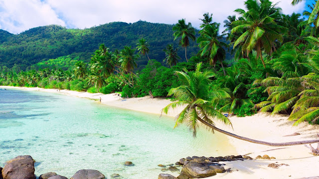 Beautiful Exotic Beach HD Wallpaper