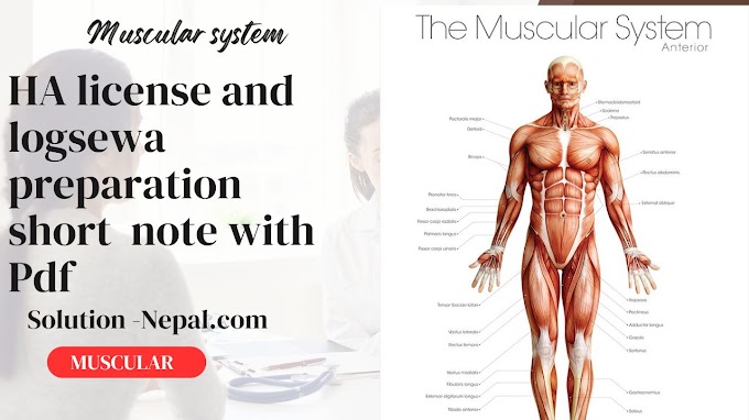 HA license and Logsewa short note about muscular system 