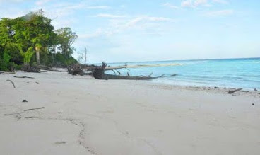 Island Beach Venue The magic island of Papua