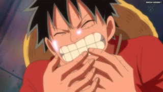 ワンピースアニメ パンクハザード編 607話 ルフィ Monkey D. Luffy | ONE PIECE Episode 607