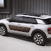  The new Citroën C4 Cactus with nice bumps 