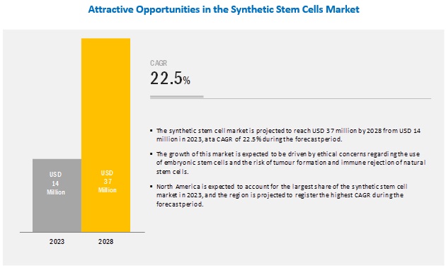 Synthetic Stem Cells Market