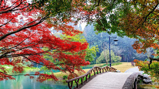 Flower Garden and Bridge of Love