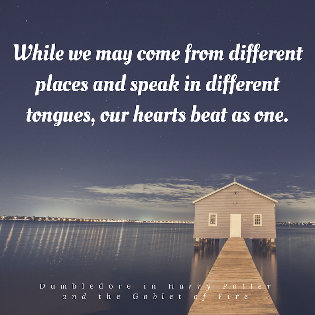 While we may come from different places and speak in different tongues, our hearts beat as one. Dumbledore.