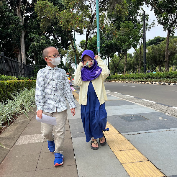  Jalan Kaki Itu Menyehatkan, Tapi di Indonesia Nyawa Taruhannya 