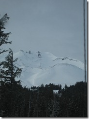 December 2009 363