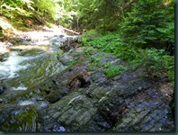 DSCN1365