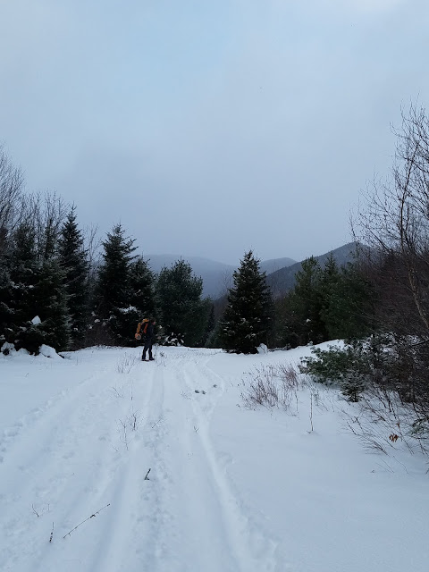 A mid December bushwhack attempt of a back-country crag known as The Captain, deeply nestled between South Hancock, Mount Carrigain, and Sawyer River.