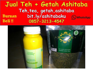 0857-3213-4547 Harga Getah Ashitaba