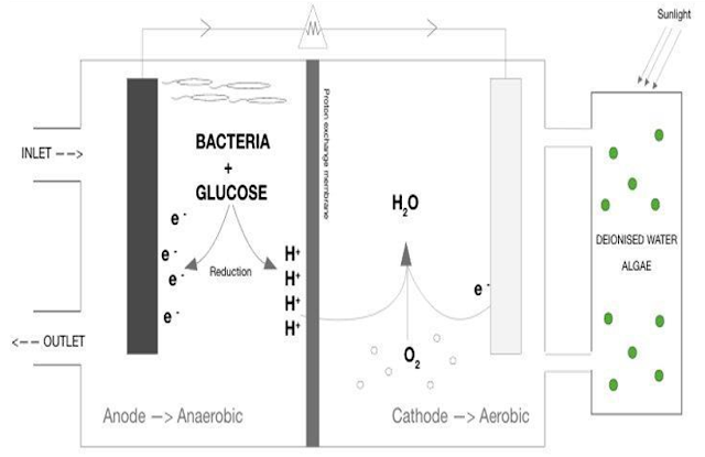 Microbial fuel cell Diagram