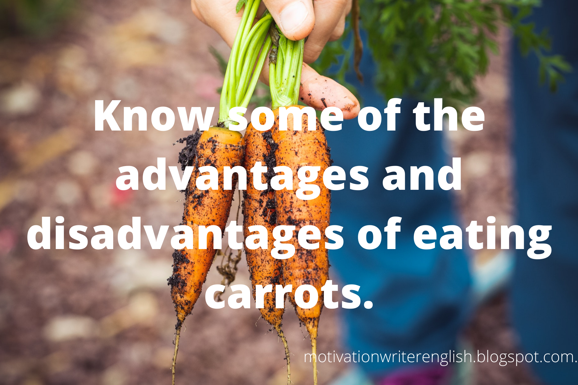Know some of the advantages and disadvantages of eating carrots,Benefits of Carrot- Motivationwriterenglish