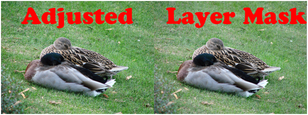 Before And After Layer Mask
