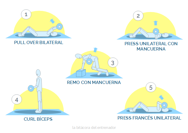 Entrenamiento de fuerza de brazos en casa