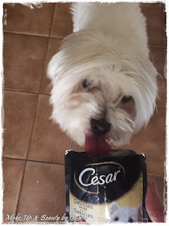 bolsitas cesar comida para perros