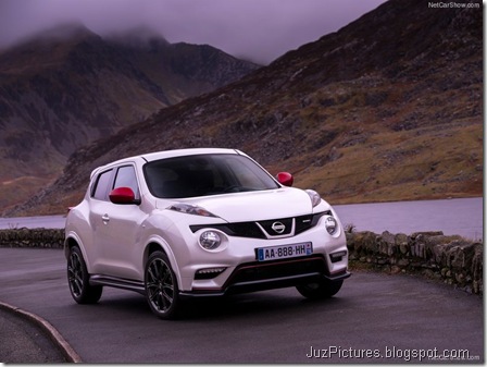 Nissan-Juke_Nismo_2013_800x600_wallpaper_08