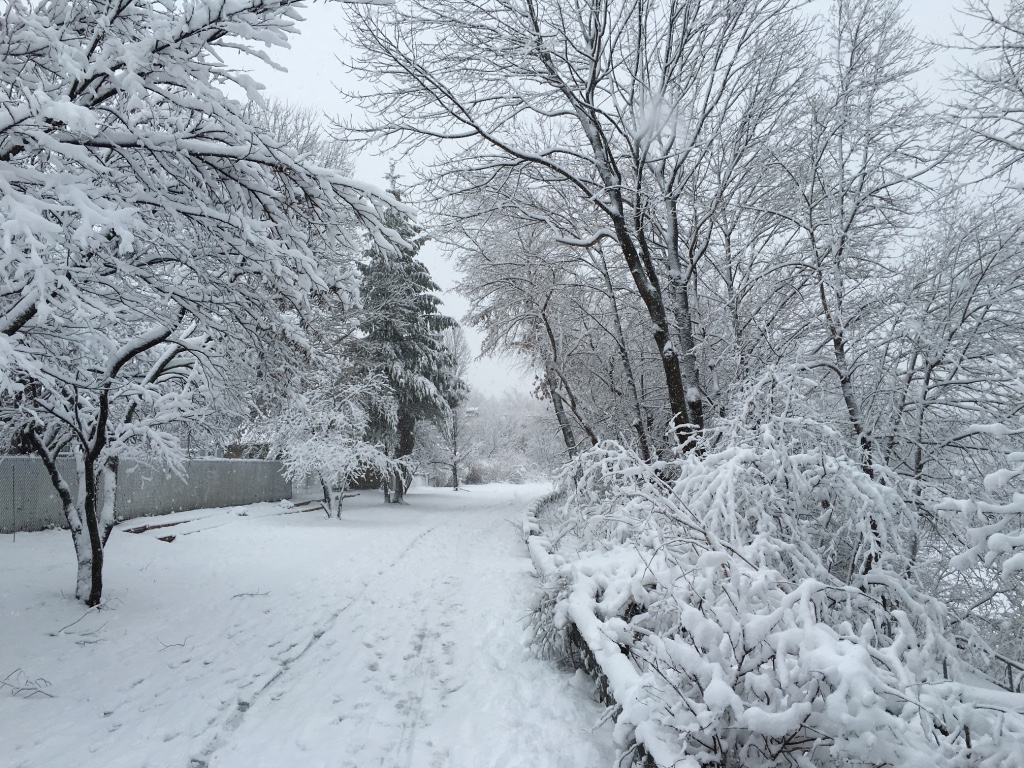 Picture of a snowy bike path.