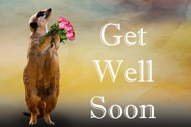 Get Well Soon Get Well Soon