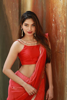 Tanya Hope in Red Saree at Thadam Movie Audio Launch