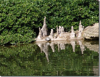 Botanical Garden 057