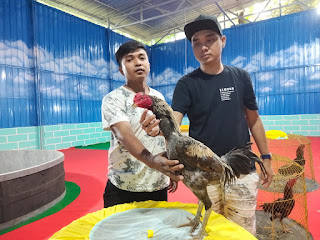 Gambar