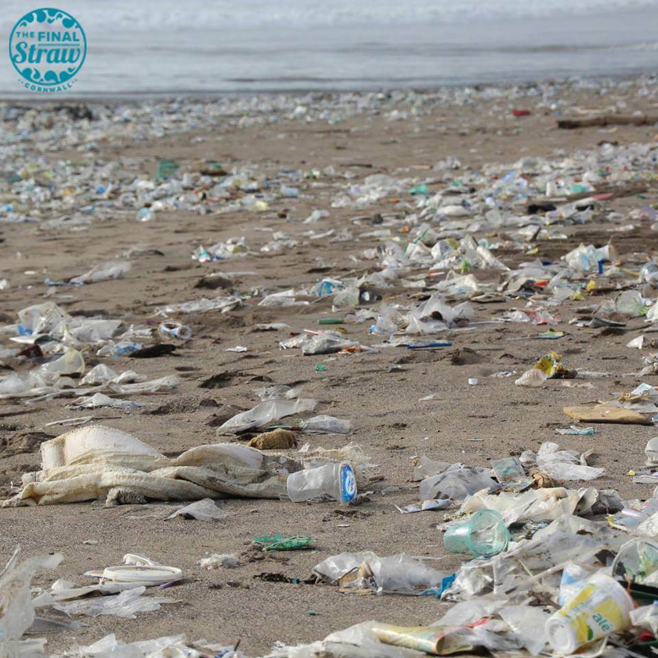 Amazing Grandma Cleaned 52 Beaches In 2018 To Help The Planet